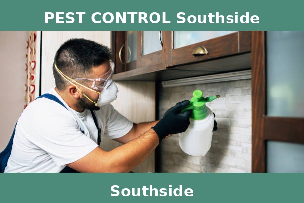 PEST CONTROL Southside